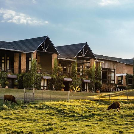 Estribo Hotel Estancia Santo Antonio da Patrulha エクステリア 写真